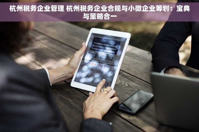 杭州税务企业管理 杭州税务企业合规与小微企业筹划：宝典与策略合一