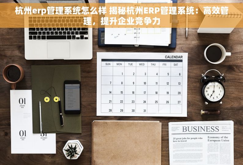 杭州erp管理系统怎么样 揭秘杭州ERP管理系统：高效管理，提升企业竞争力