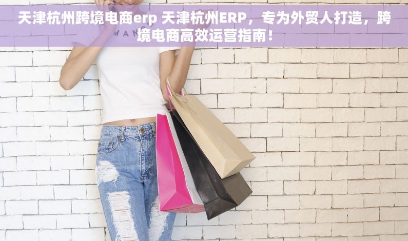 天津杭州跨境电商erp 天津杭州ERP，专为外贸人打造，跨境电商高效运营指南！