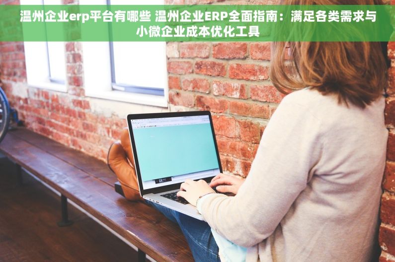 温州企业erp平台有哪些 温州企业ERP全面指南：满足各类需求与小微企业成本优化工具