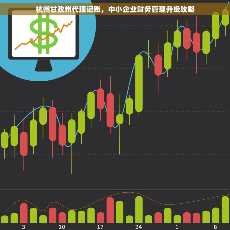 杭州甘孜州代理记账，中小企业财务管理升级攻略