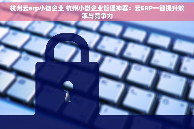 杭州云erp小微企业 杭州小微企业管理神器：云ERP一键提升效率与竞争力