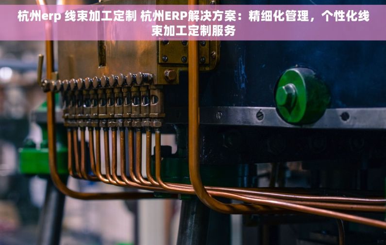 杭州erp 线束加工定制 杭州ERP解决方案：精细化管理，个性化线束加工定制服务