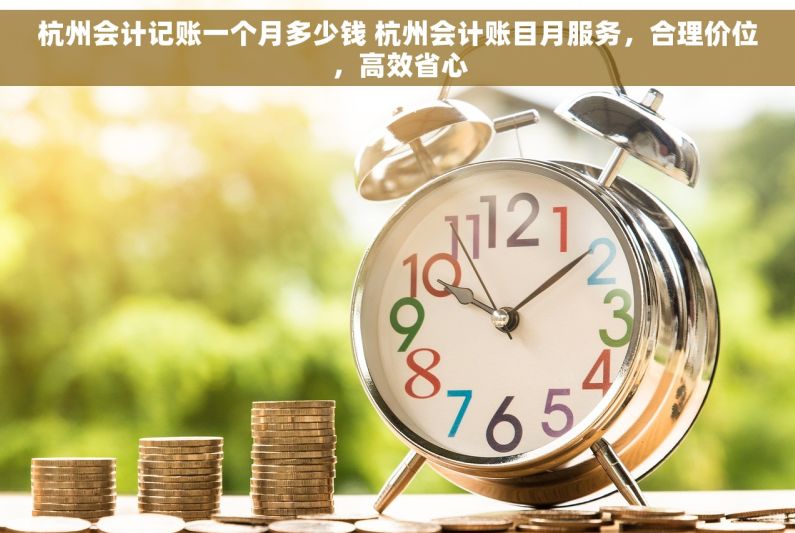 杭州会计记账一个月多少钱 杭州会计账目月服务，合理价位，高效省心