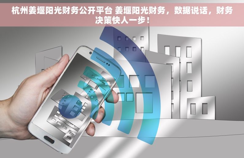 杭州姜堰阳光财务公开平台 姜堰阳光财务，数据说话，财务决策快人一步！