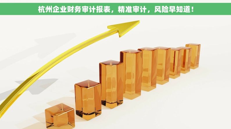 杭州企业财务审计报表，精准审计，风险早知道！