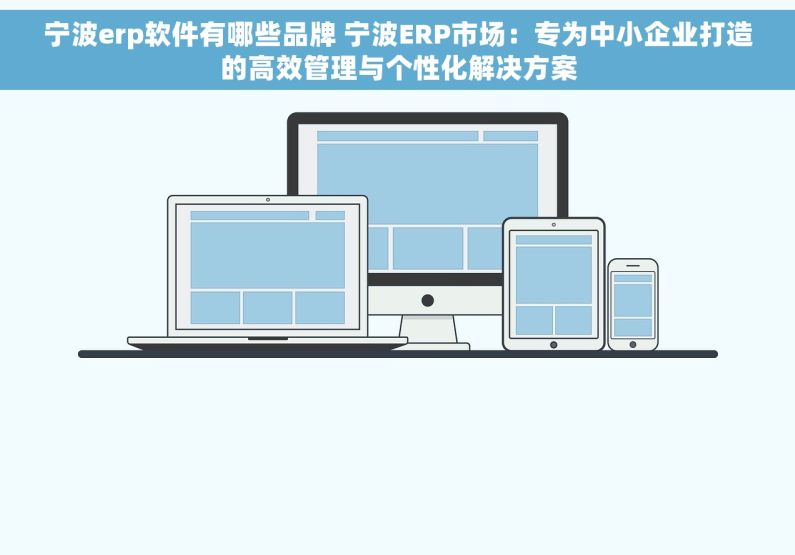 宁波erp软件有哪些品牌 宁波ERP市场：专为中小企业打造的高效管理与个性化解决方案