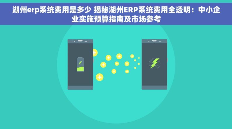 湖州erp系统费用是多少 揭秘湖州ERP系统费用全透明：中小企业实施预算指南及市场参考