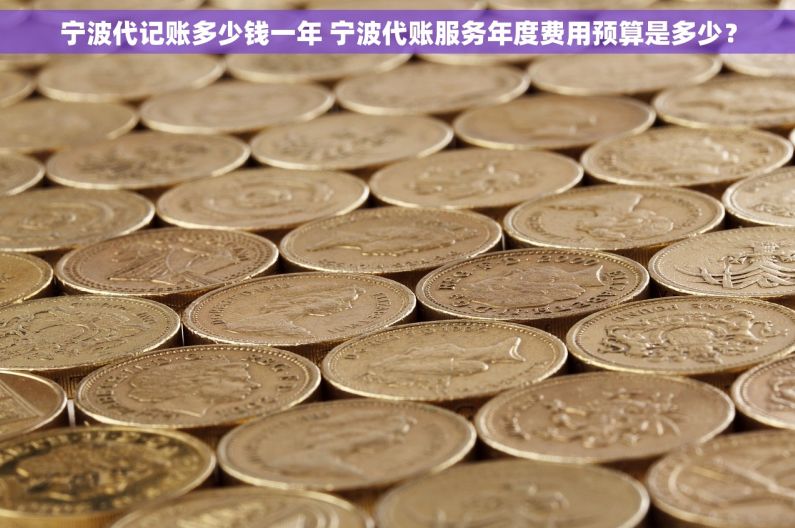 宁波代记账多少钱一年 宁波代账服务年度费用预算是多少？
