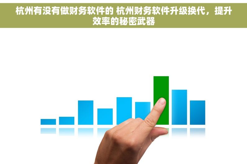 杭州有没有做财务软件的 杭州财务软件升级换代，提升效率的秘密武器