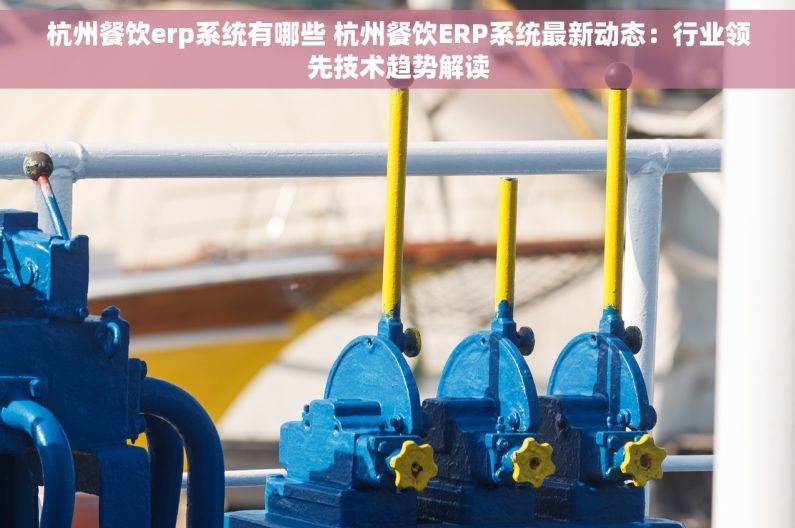 杭州餐饮erp系统有哪些 杭州餐饮ERP系统最新动态：行业领先技术趋势解读