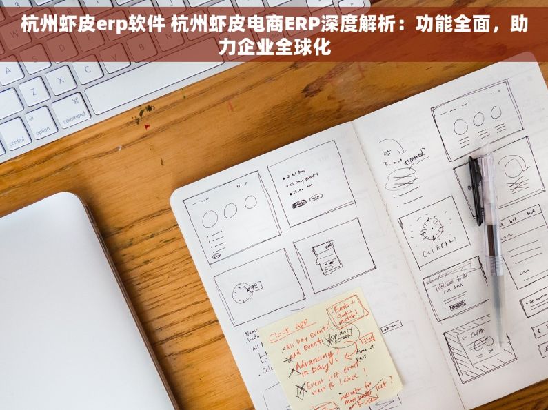 杭州虾皮erp软件 杭州虾皮电商ERP深度解析：功能全面，助力企业全球化