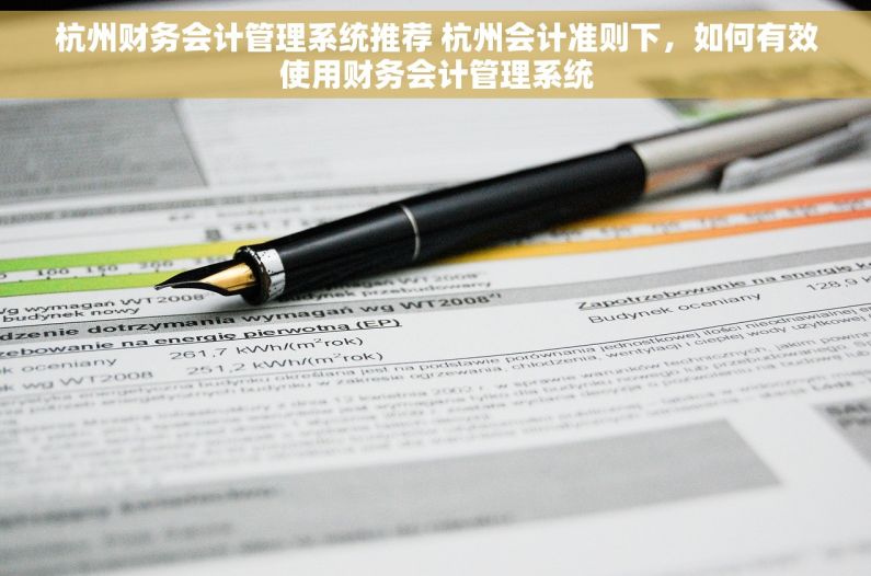 杭州财务会计管理系统推荐 杭州会计准则下，如何有效使用财务会计管理系统