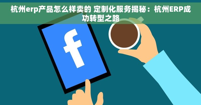 杭州erp产品怎么样卖的 定制化服务揭秘：杭州ERP成功转型之路