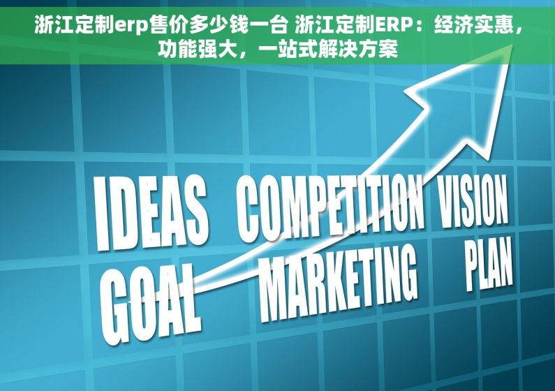 浙江定制erp售价多少钱一台 浙江定制ERP：经济实惠，功能强大，一站式解决方案