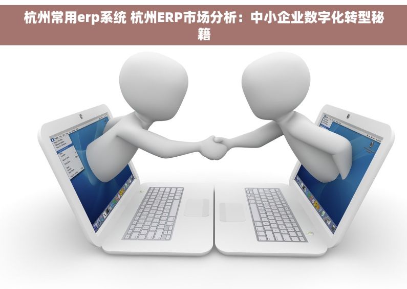 杭州常用erp系统 杭州ERP市场分析：中小企业数字化转型秘籍
