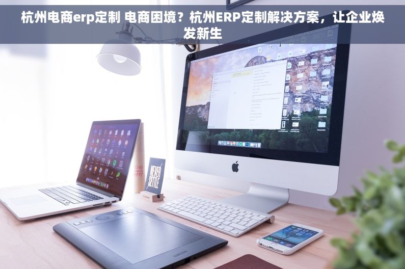 杭州电商erp定制 电商困境？杭州ERP定制解决方案，让企业焕发新生