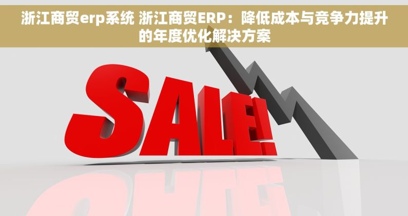 浙江商贸erp系统 浙江商贸ERP：降低成本与竞争力提升的年度优化解决方案