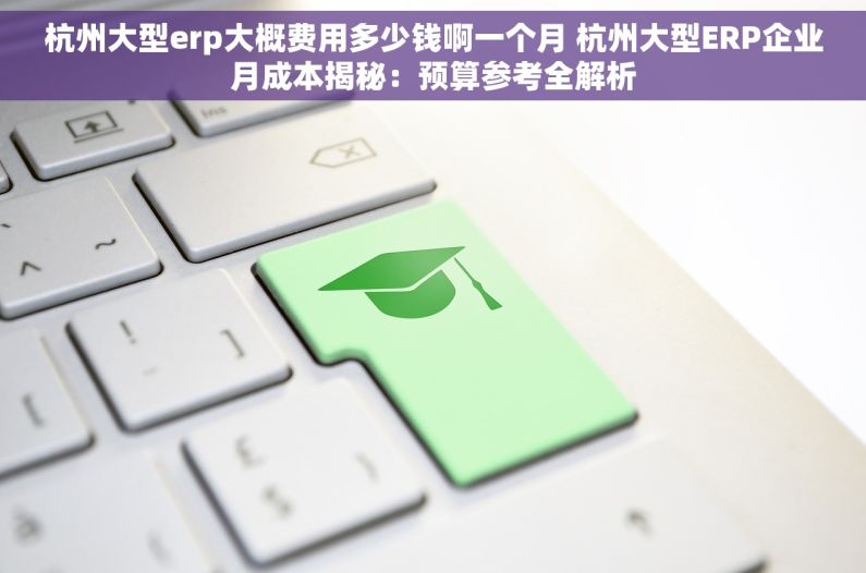 杭州大型erp大概费用多少钱啊一个月 杭州大型ERP企业月成本揭秘：预算参考全解析