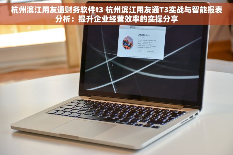 杭州滨江用友通财务软件t3 杭州滨江用友通T3实战与智能报表分析：提升企业经营效率的实操分享