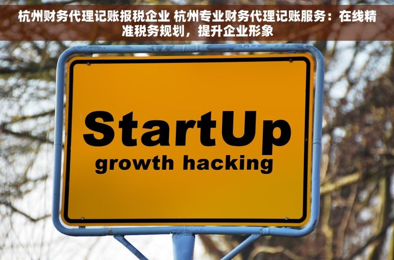 杭州财务代理记账报税企业 杭州专业财务代理记账服务：在线精准税务规划，提升企业形象