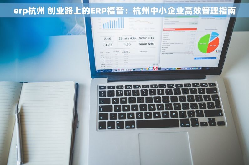 erp杭州 创业路上的ERP福音：杭州中小企业高效管理指南