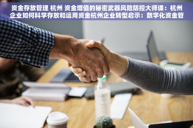 资金存放管理 杭州 资金增值的秘密武器风险防控大师课：杭州企业如何科学存放和运用资金杭州企业转型启示：数字化资金管理