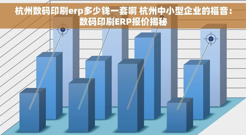 杭州数码印刷erp多少钱一套啊 杭州中小型企业的福音：数码印刷ERP报价揭秘
