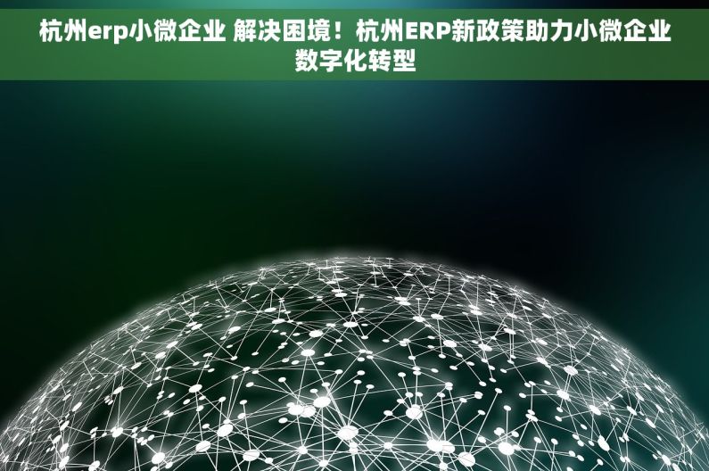 杭州erp小微企业 解决困境！杭州ERP新政策助力小微企业数字化转型