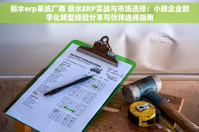 丽水erp系统厂商 丽水ERP实战与市场选择：小微企业数字化转型经验分享与伙伴选择指南