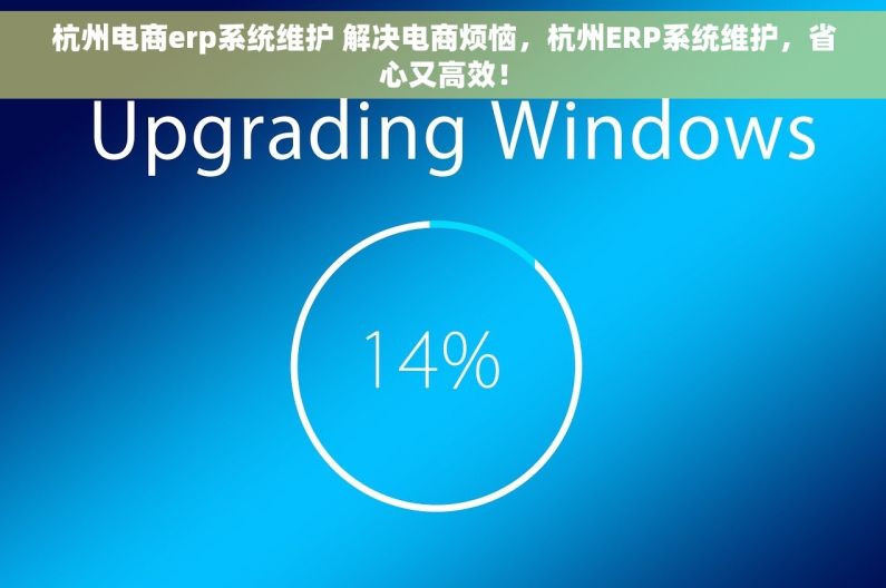 杭州电商erp系统维护 解决电商烦恼，杭州ERP系统维护，省心又高效！