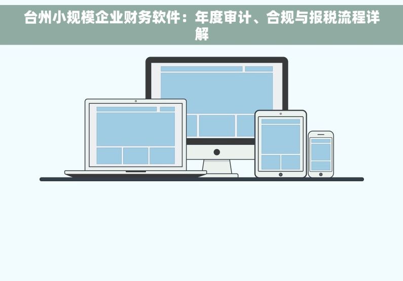 台州小规模企业财务软件：年度审计、合规与报税流程详解