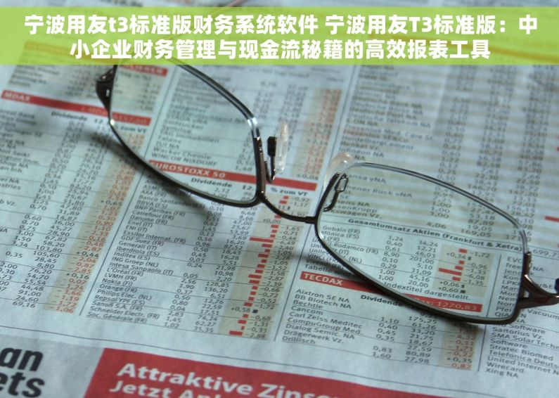 宁波用友t3标准版财务系统软件 宁波用友T3标准版：中小企业财务管理与现金流秘籍的高效报表工具