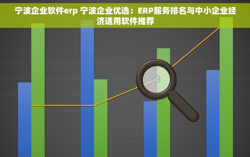 宁波企业软件erp 宁波企业优选：ERP服务排名与中小企业经济适用软件推荐