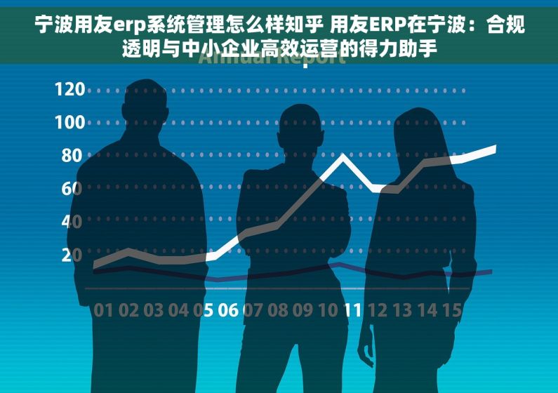 宁波用友erp系统管理怎么样知乎 用友ERP在宁波：合规透明与中小企业高效运营的得力助手