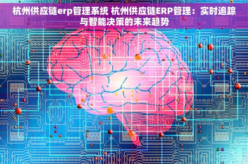 杭州供应链erp管理系统 杭州供应链ERP管理：实时追踪与智能决策的未来趋势