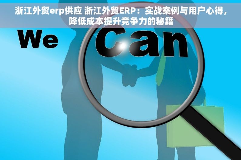 浙江外贸erp供应 浙江外贸ERP：实战案例与用户心得，降低成本提升竞争力的秘籍