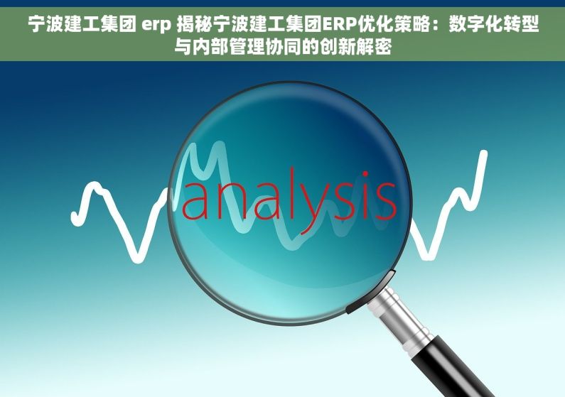 宁波建工集团 erp 揭秘宁波建工集团ERP优化策略：数字化转型与内部管理协同的创新解密
