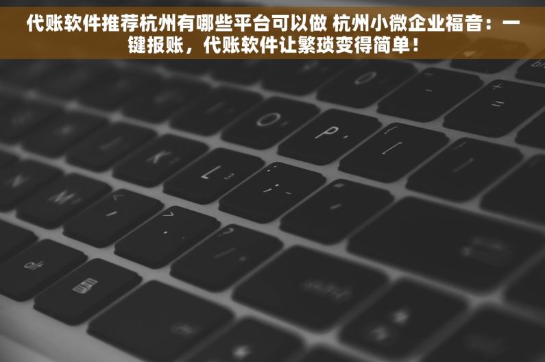 代账软件推荐杭州有哪些平台可以做 杭州小微企业福音：一键报账，代账软件让繁琐变得简单！