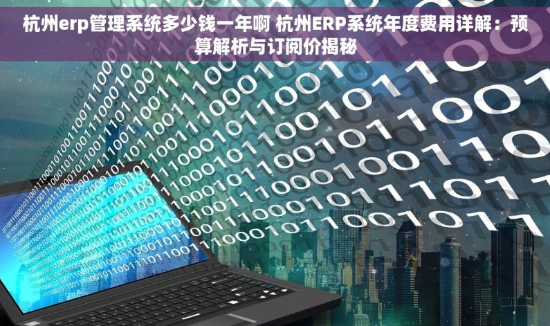 杭州erp管理系统多少钱一年啊 杭州ERP系统年度费用详解：预算解析与订阅价揭秘