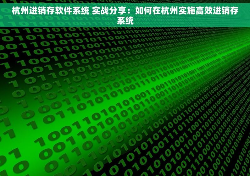 杭州进销存软件系统 实战分享：如何在杭州实施高效进销存系统