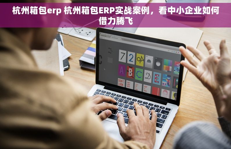 杭州箱包erp 杭州箱包ERP实战案例，看中小企业如何借力腾飞