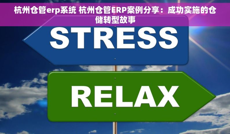 杭州仓管erp系统 杭州仓管ERP案例分享：成功实施的仓储转型故事