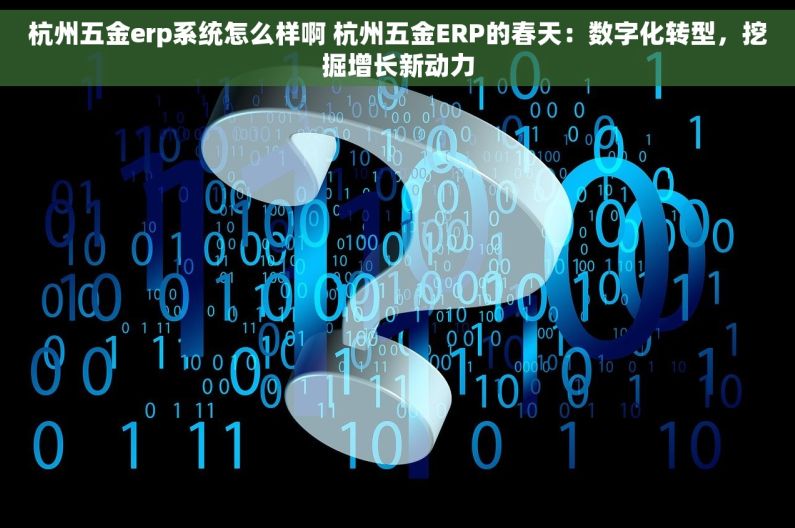 杭州五金erp系统怎么样啊 杭州五金ERP的春天：数字化转型，挖掘增长新动力
