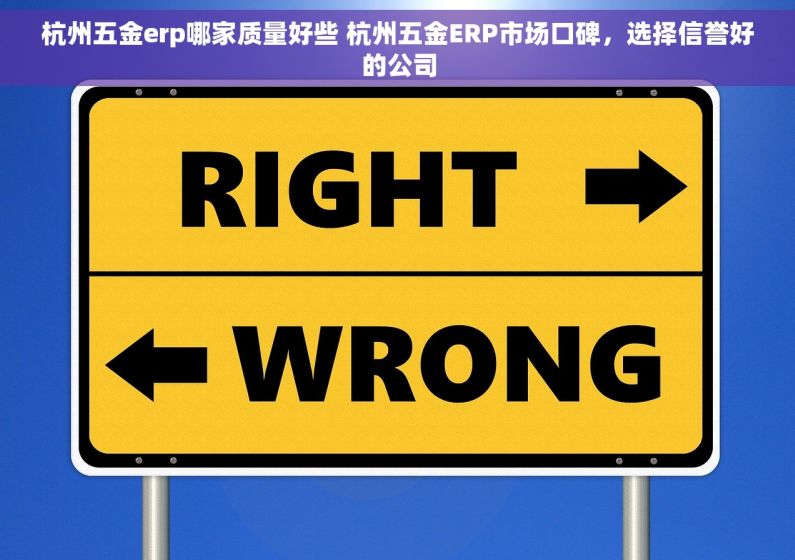 杭州五金erp哪家质量好些 杭州五金ERP市场口碑，选择信誉好的公司
