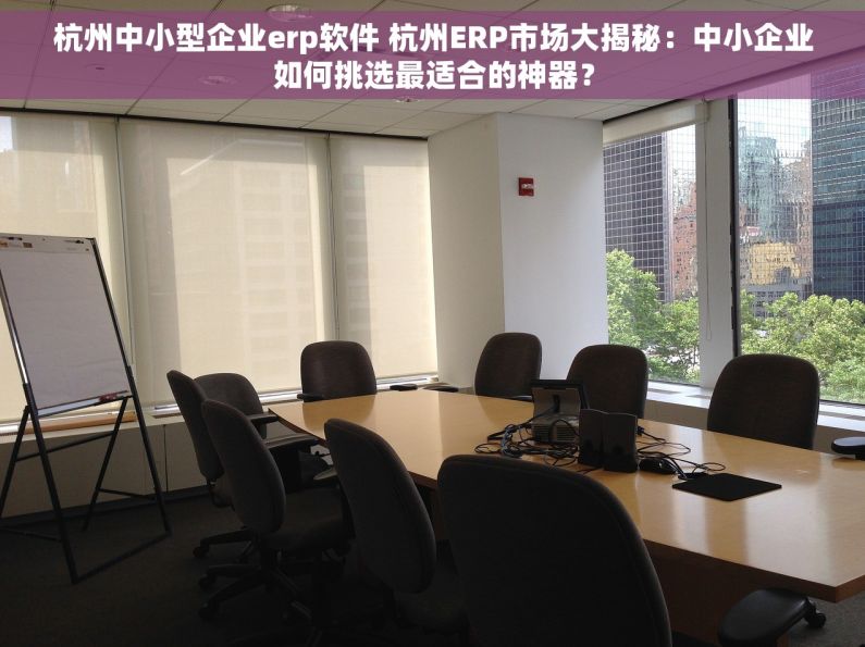 杭州中小型企业erp软件 杭州ERP市场大揭秘：中小企业如何挑选最适合的神器？