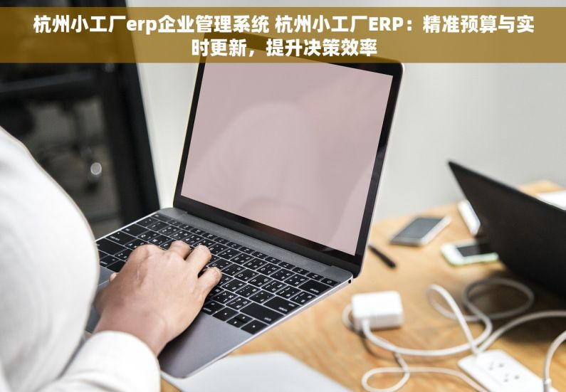 杭州小工厂erp企业管理系统 杭州小工厂ERP：精准预算与实时更新，提升决策效率