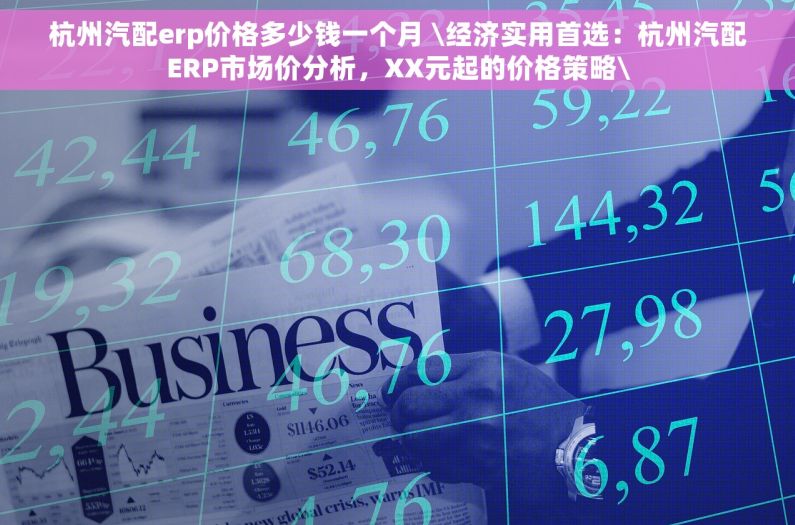 杭州汽配erp价格多少钱一个月 \经济实用首选：杭州汽配ERP市场价分析，XX元起的价格策略\