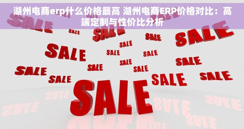 湖州电商erp什么价格最高 湖州电商ERP价格对比：高端定制与性价比分析