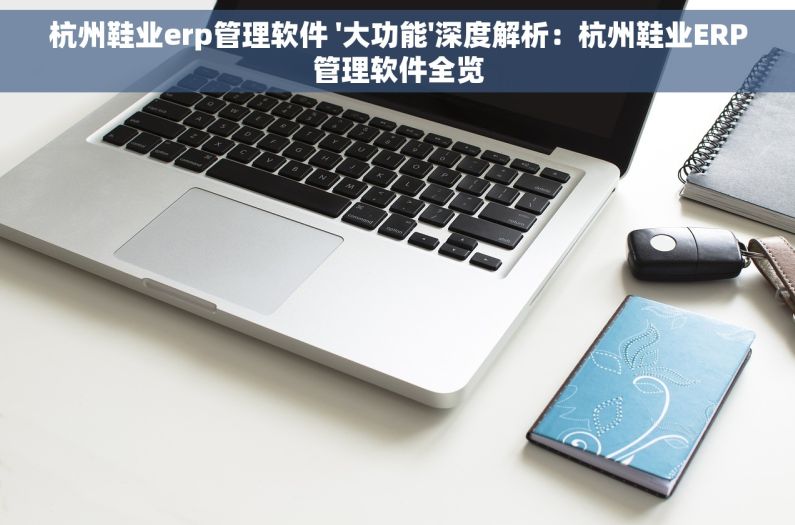 杭州鞋业erp管理软件 '大功能'深度解析：杭州鞋业ERP管理软件全览